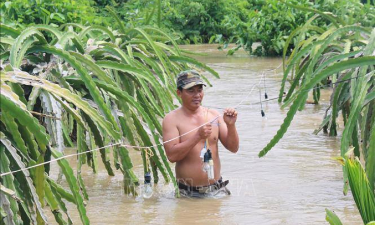 Bình Thuận: 200 hộ dân ở huyện Hàm Thuận Nam bị cô lập do mưa lũ