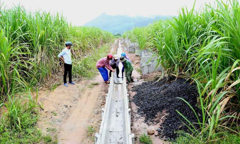 &#8216;Tri thức hóa&#8217; cho nông dân, đáp ứng tiêu chuẩn làm việc của môi trường cạnh tranh quốc tế