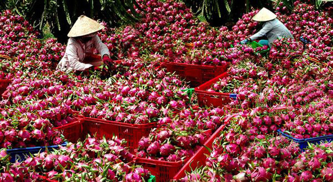 Một thay đổi lớn từ Trung Quốc: Lời cảnh báo gửi tới Việt Nam