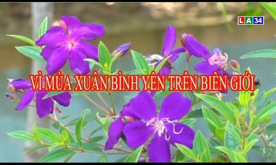 An ninh Long An: Vì mùa xuân bình yên trên biên giới