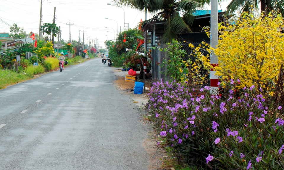 Cần Đước những ngày đầu năm mới