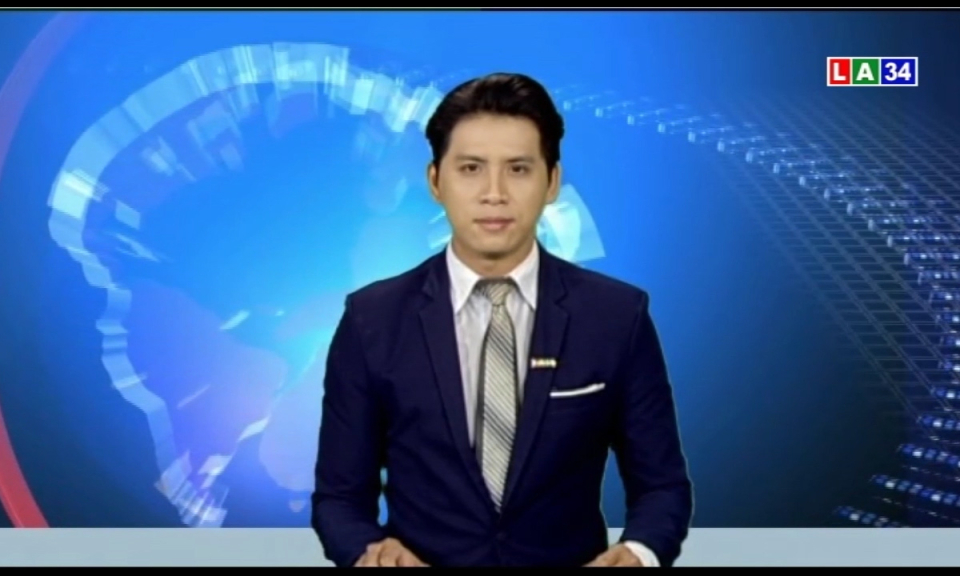 Bản tin thời sự chiều 31-01-2019