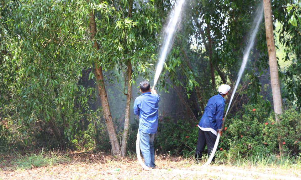 Thủ Thừa: Kiểm tra công tác bảo vệ rừng, phòng cháy chữa cháy rừng mùa khô năm 2019