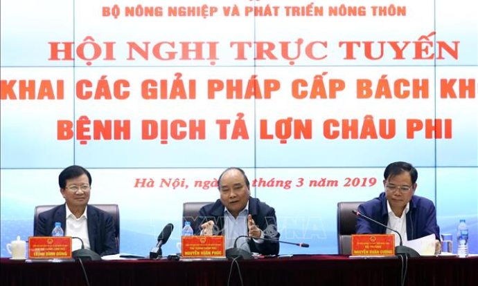 Chủ tịch UBND các tỉnh, thành phố phải chịu trách nhiệm trước Thủ tướng nếu để dịch tả lợn châu Phi lây lan