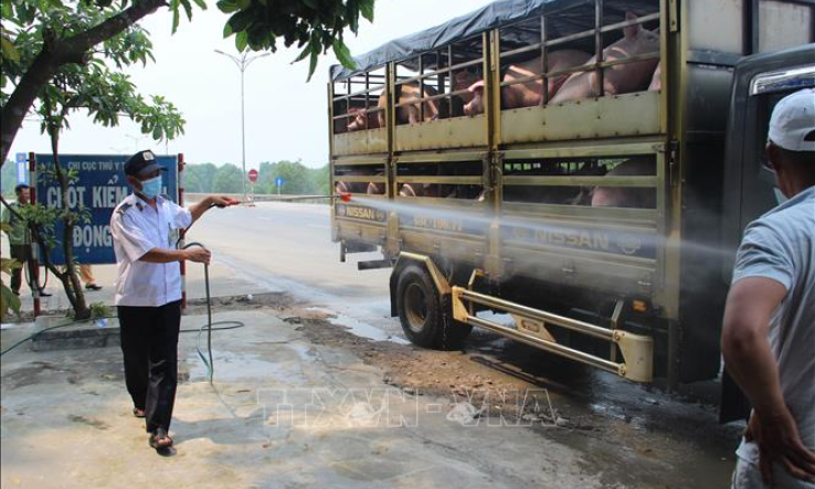 Bộ trưởng Nguyễn Xuân Cường: Ngăn chặn tối đa dịch tả lợn châu Phi lây lan vào miền Nam