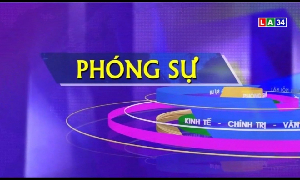 Phóng sự: Giải pháp ổn định tiêu thụ lúa đông xuân 2018-2019