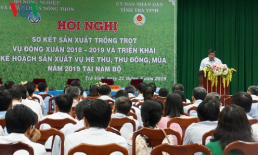 ĐBSCL phát triển hơn 170.000 ha cánh đồng lớn