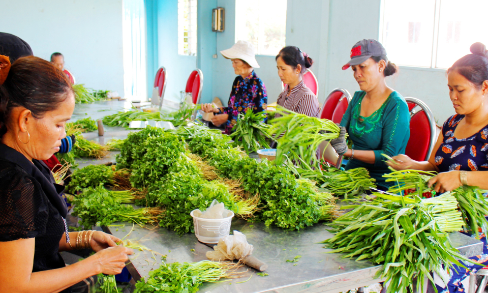 Cần Đước: Tổng kết tình hình phát triển kinh tế tập thể