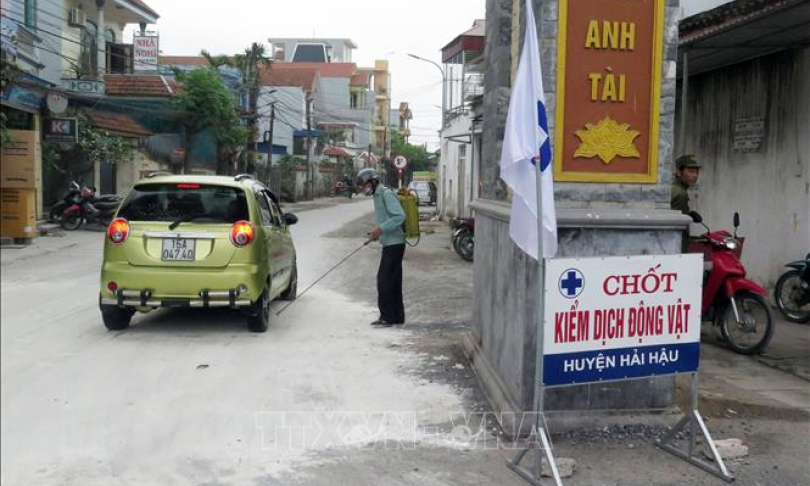 Dịch tả lợn châu Phi lây lan nhanh, Nam Định siết chặt khâu vận chuyển