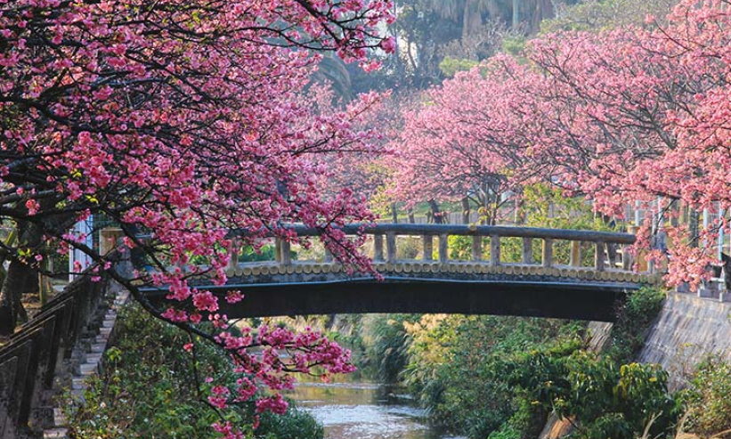 桜の季節：日本の「魔法の」商業シーズン