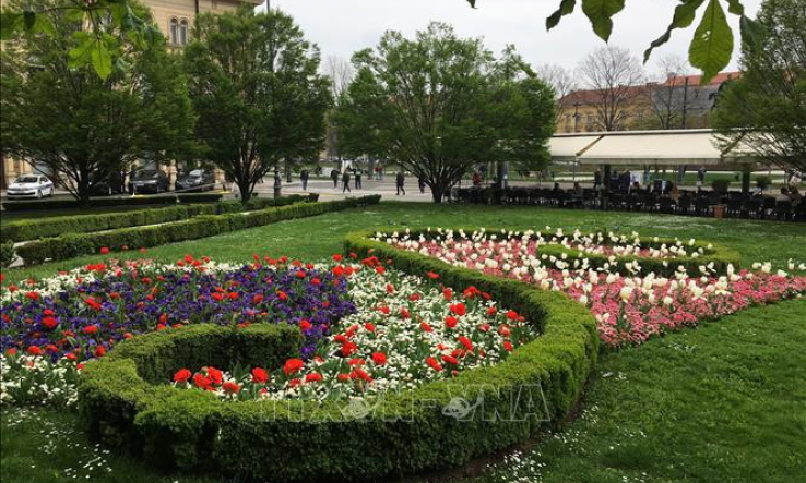 Mê mẩn ngắm hoa xuân khoe sắc tại Croatia