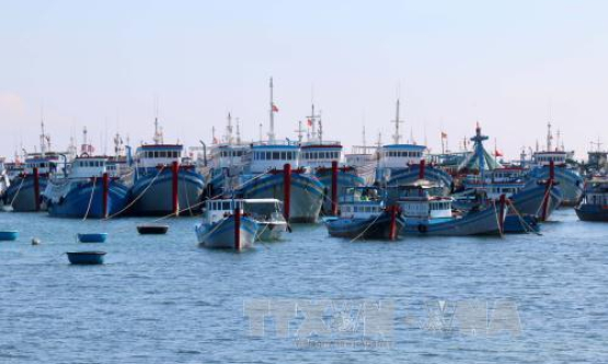 Đầu tư các dự án tại 4 tỉnh miền Trung sử dụng khoản tiền bồi thường của Công ty Formosa