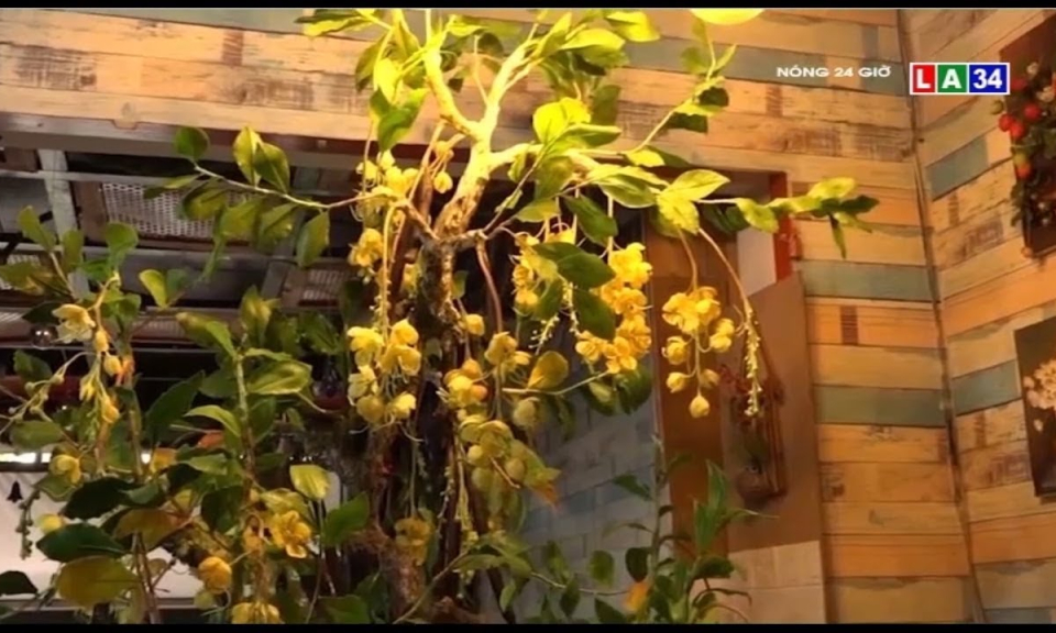 Độc lạ cây bonsai ra hoa từ đất sét