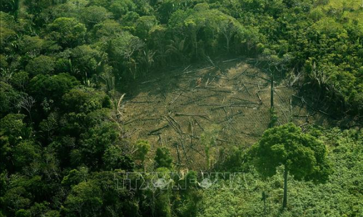 Báo động đỏ các &#8216;thiên đường&#8217; sinh thái ở Brazil