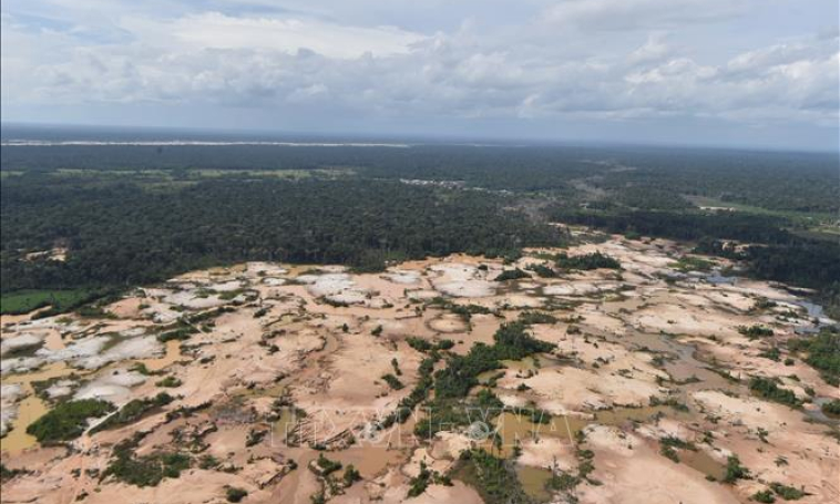 Brazil mất 953.000 ha rừng Amazon trong vòng 30 năm