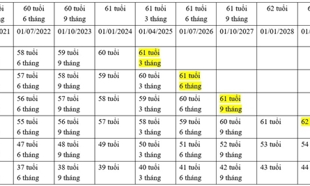 Cách tính tuổi nghỉ hưu theo phương án mới như thế nào?