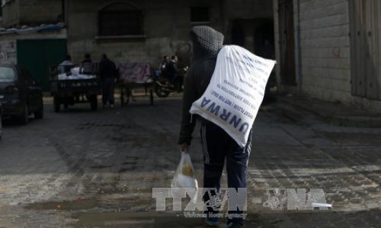 Liên Hợp quốc: Nhu cầu viện trợ lương thực ở Gaza tăng gần 10 lần