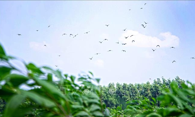 Cà Mau: Để vùng cực Nam Tổ quốc không chỉ là một điểm đến