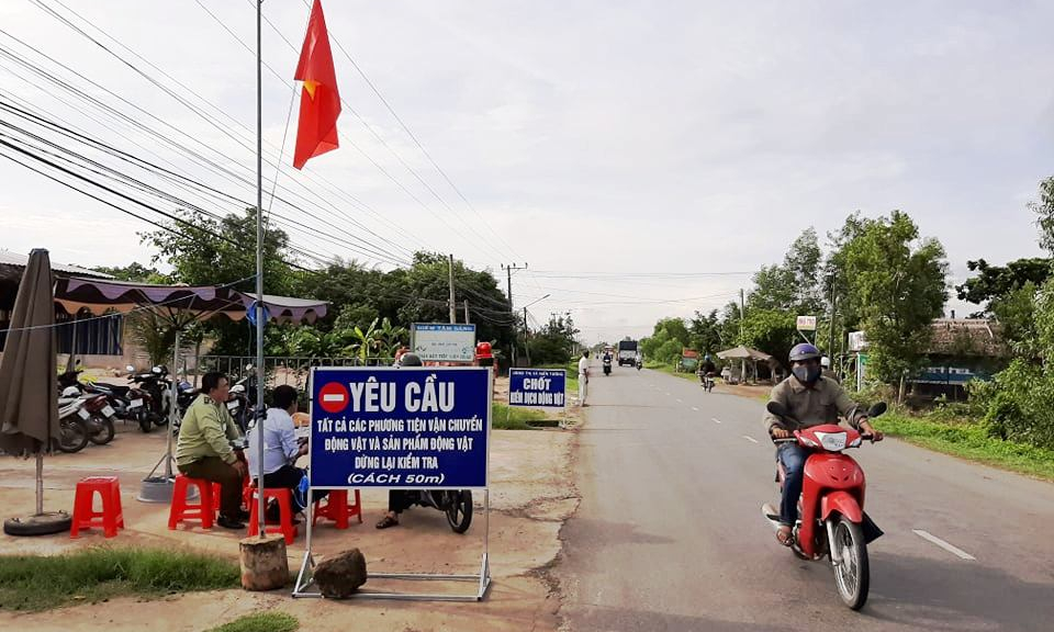 TX Kiến Tường: Thành lập 02 chốt kiểm dịch động vật trong phòng chống dịch tả heo châu Phi