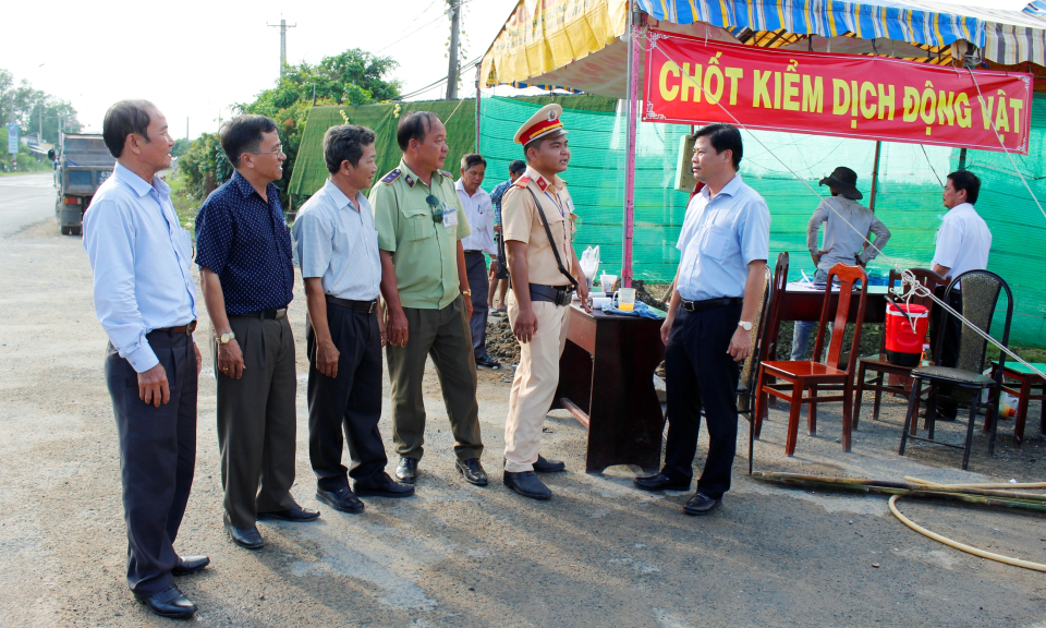 Cần Đước tăng cường phòng chống dịch tả lợn châu Phi