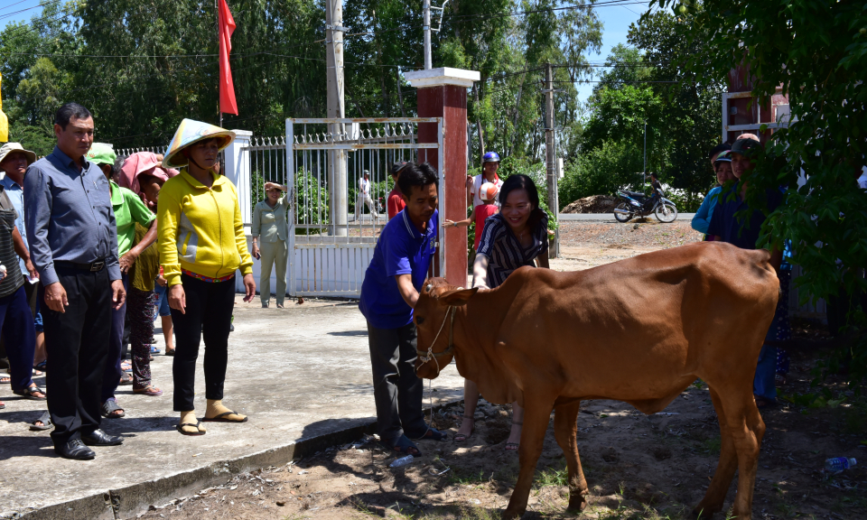 Tân Hưng: Trao tặng bò giống cho hộ nghèo do Nguyên Chủ tịch nước Trương Tấn Sang vận động tài trợ