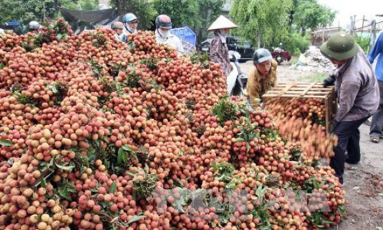 Cơ hội phát triển thương mại tại Trung Đông &#8211; châu Phi