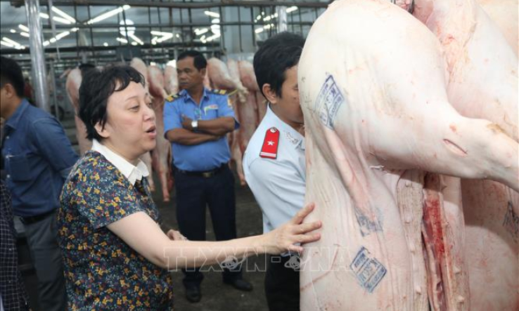 Thành phố Hồ Chí Minh tăng cường kiểm tra giám sát nguồn thịt lợn vận chuyển vào thành phố