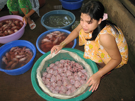 Về miền Tây xem bẫy chuột đồng, thưởng thức món 'trinh nữ kén chồng'