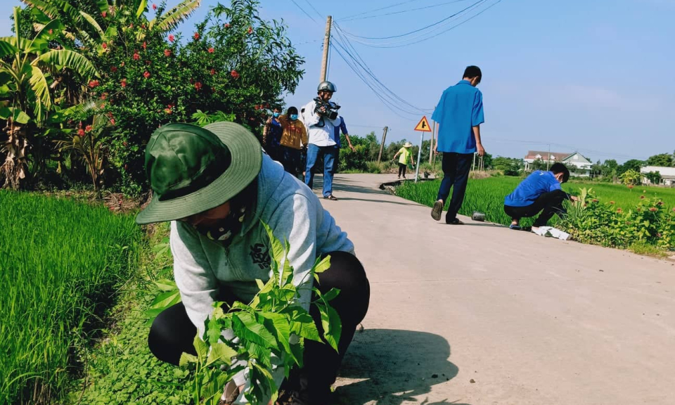 Bến Lức: Xây dựng lại tuyến đường trật tự – sáng – xanh – sạch – đẹp