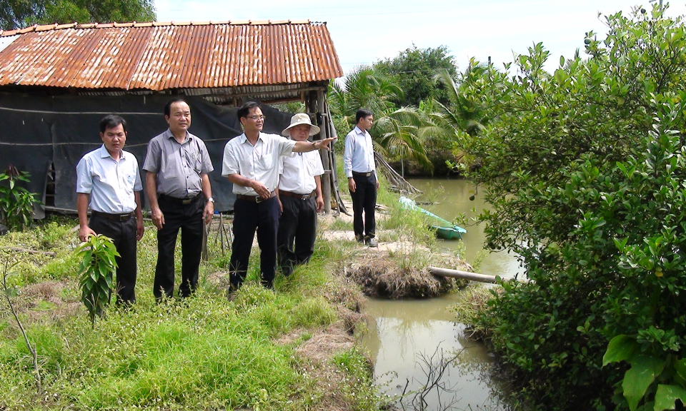 Bí thư Huyện ủy Đức Huệ thăm vùng sản xuất chuyên canh cây chanh