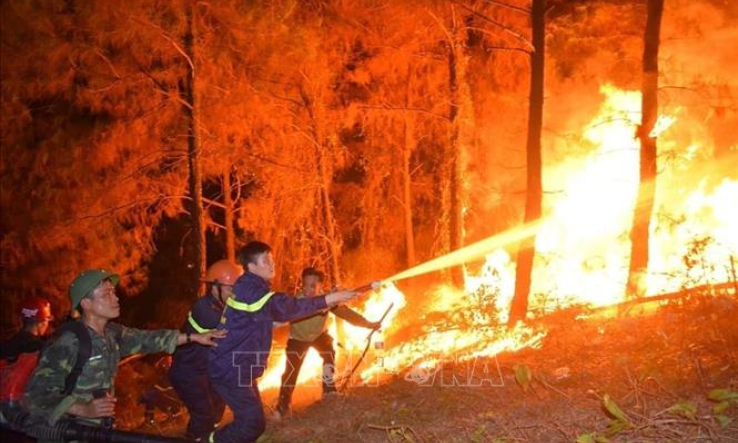 Phó Thủ tướng Vương Đình Huệ thị sát, chỉ đạo chữa cháy rừng tại Hà Tĩnh