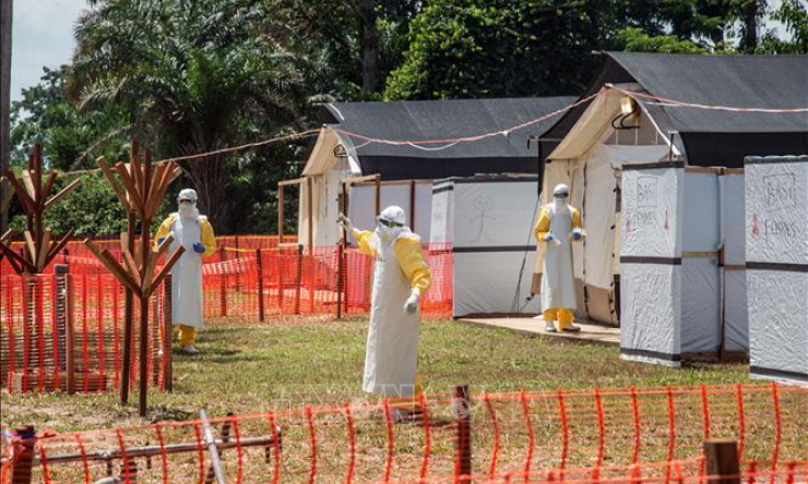 WHO tuyên bố dịch Ebola là vấn đề y tế khẩn cấp toàn cầu