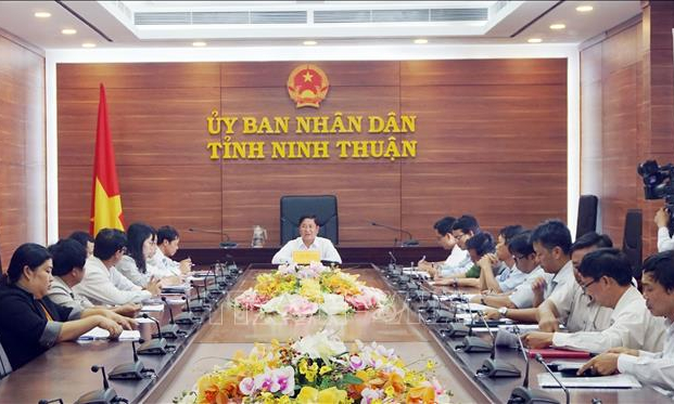 Ninh Thuận họp khẩn chống dịch tả lợn châu Phi