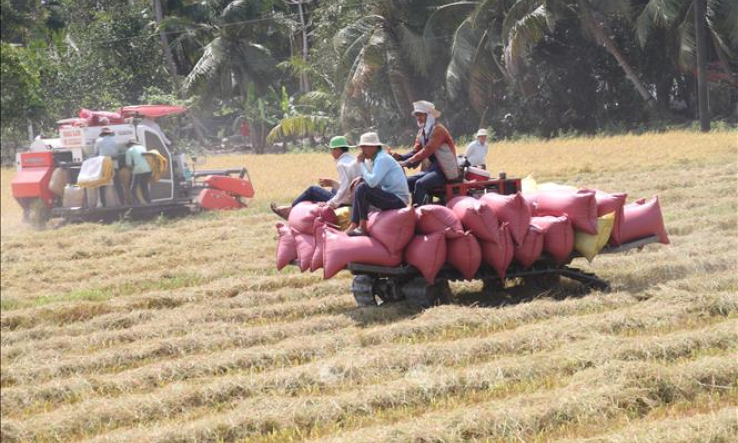 Ứng dụng khoa học trong nông nghiệp ĐBSCL &#8211; Bài 2: Tái cơ cấu thích ứng biến đổi khí hậu