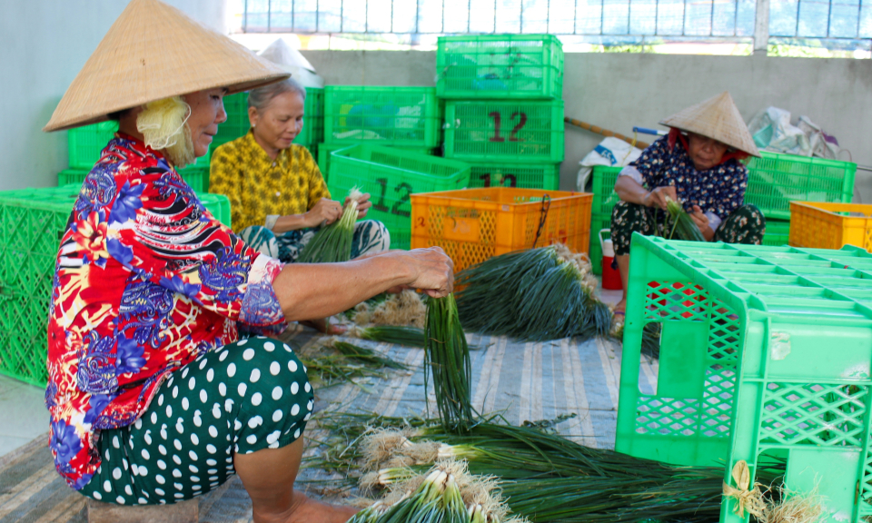 Cần Đước thực hiện hiệu quả công tác giảm nghèo