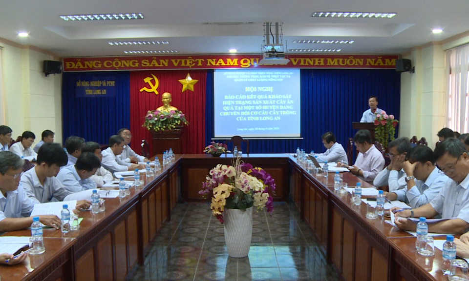 Hội nghị đánh giá kết quả sản xuất cây ăn quả tại Long An
