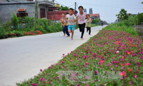 Quy hoạch cảnh quan nông thôn, kiến tạo những không gian đáng sống