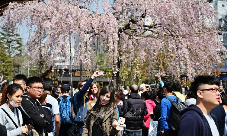 Tokyo là thành phố an toàn nhất thế giới