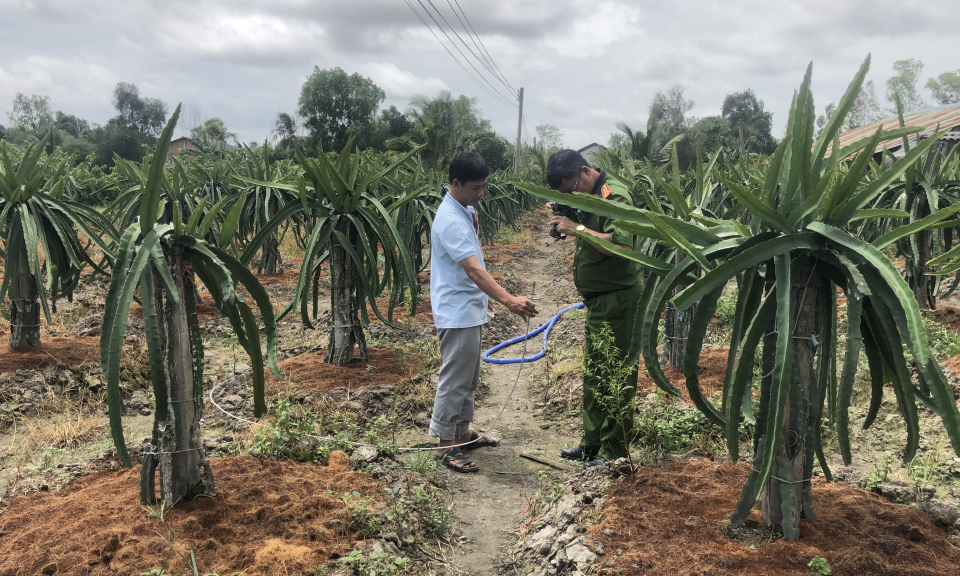 Bé trai 5 tuổi ra vườn thanh long bị dây điện hạ thế rơi trúng gây chết