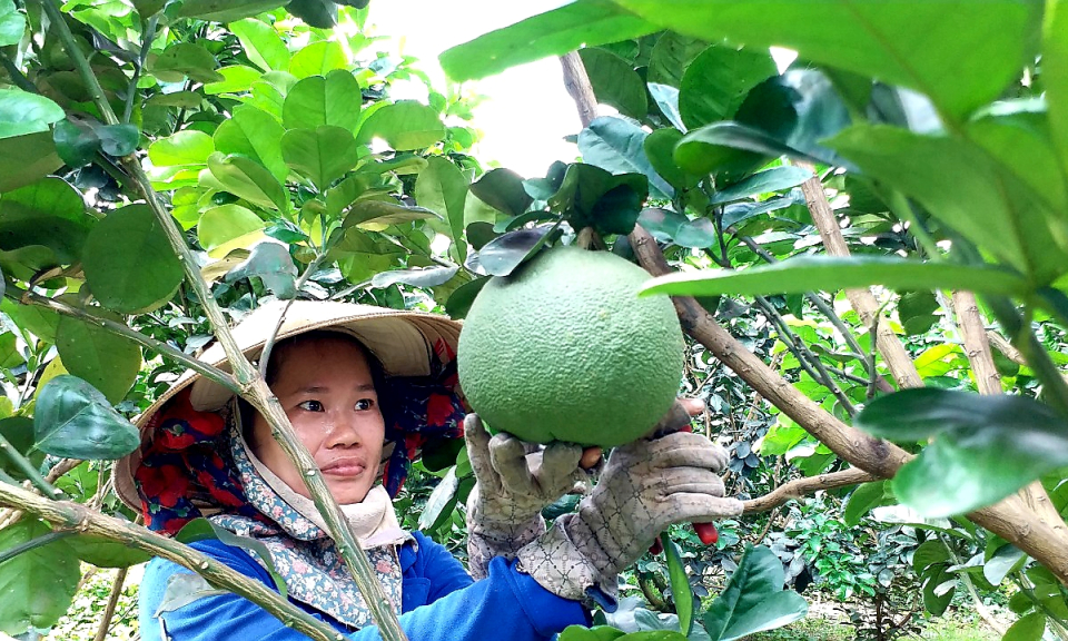 Người dân Tân An hài lòng về kết quả xây dựng nông thôn mới