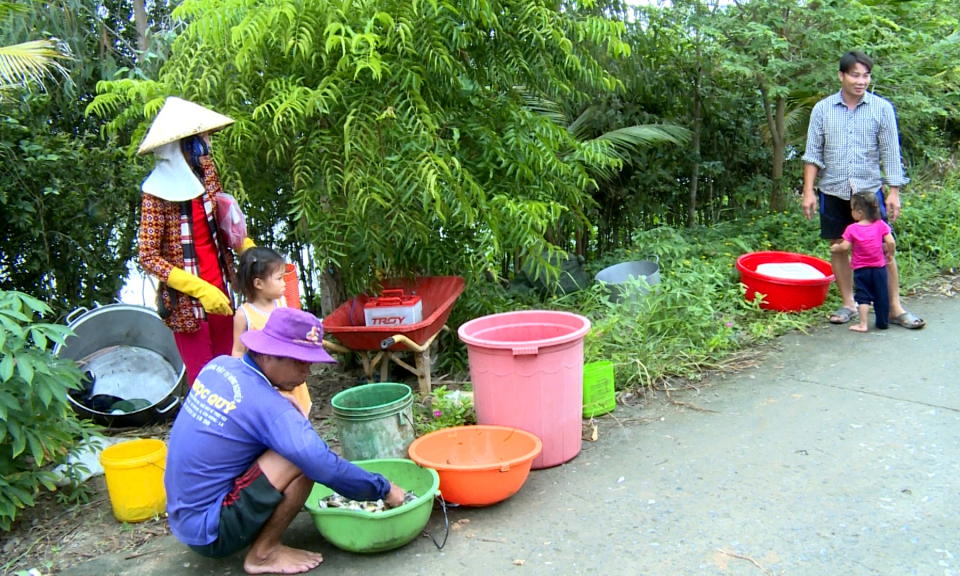 Đồng Tháp Mười : Lũ về &#8211; người dân tất bật vào cuộc mưu sinh