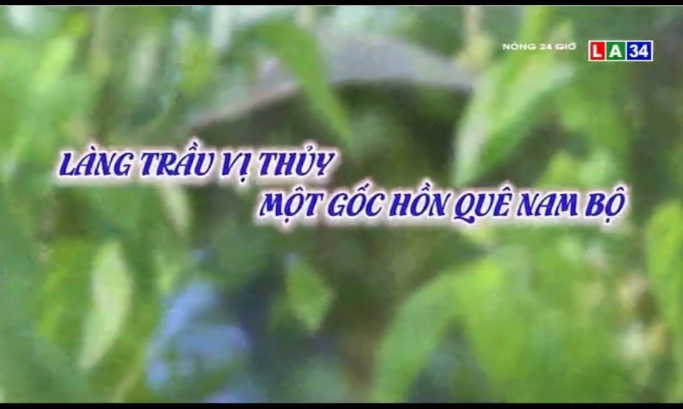 Làng trầu Vị Thủy, một góc hồn quê Nam bộ