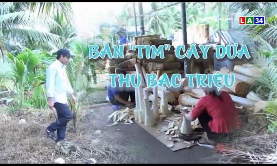 Bán &#8220;tim&#8221; cây dừa thu bạc triệu