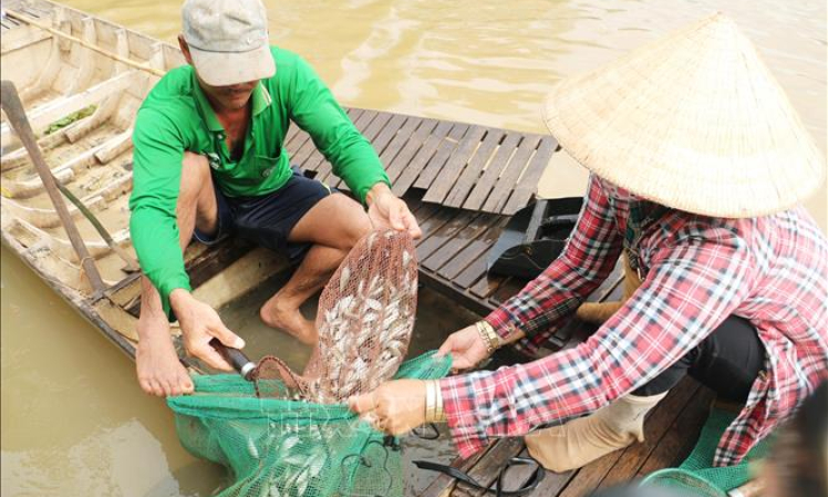 Nhiều hy vọng cho nông dân đầu nguồn trong mùa nước nổi