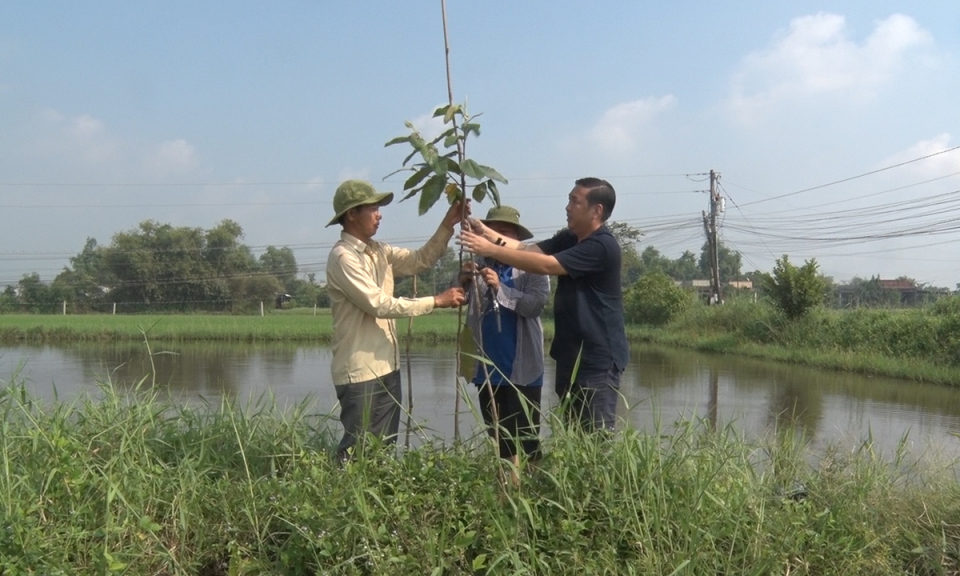 Đức Hòa: Ra quân trồng cây xanh bảo vệ môi trường