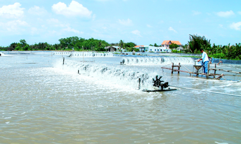 Cần Đước ra mắt Hội quán nuôi thủy sản Tân Chánh