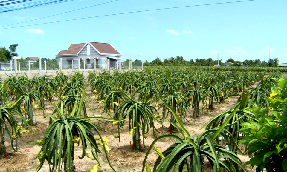 Long An hoàn thành mục tiêu xây dựng nông thôn mới vào năm 2030