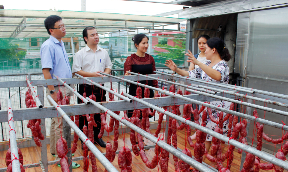 Trung tâm phát triển nông thôn Saemaul Undong làm việc về thực hiện chương trình OCOP