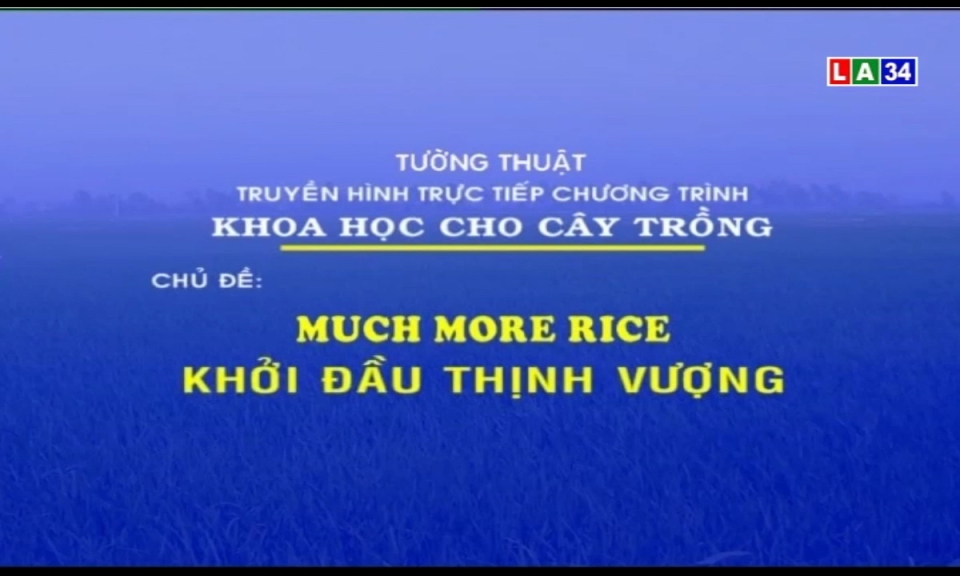 Khoa học cho cây trồng: Quy trình Much More Rice &#8211; Khởi đầu thịnh vượng