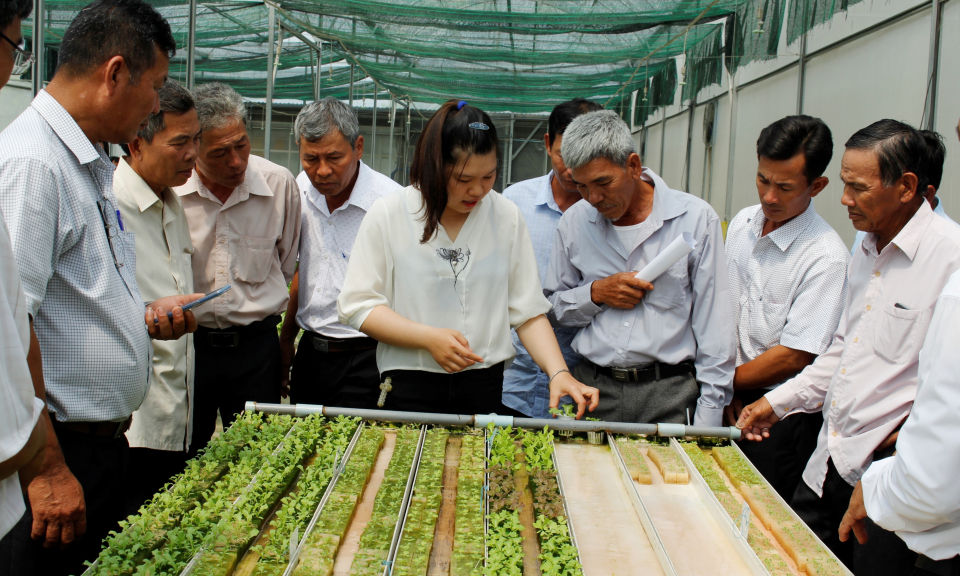 Chi cục phát triển nông thôn Kiên Giang khảo sát Hợp tác xã rau an tòan tại Cần Đước